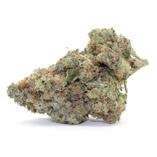 Dosi-Lato Cannabis Flower