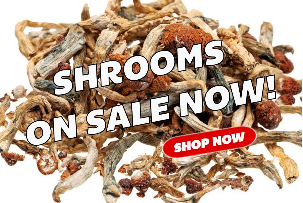 Magic Shrooms for sale