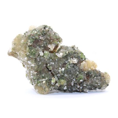 Space Cadets – Jurrasic Nugs