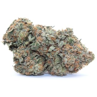 North Bay Kush Cannabis Flower