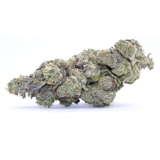 Super Lemon Haze Cannabis